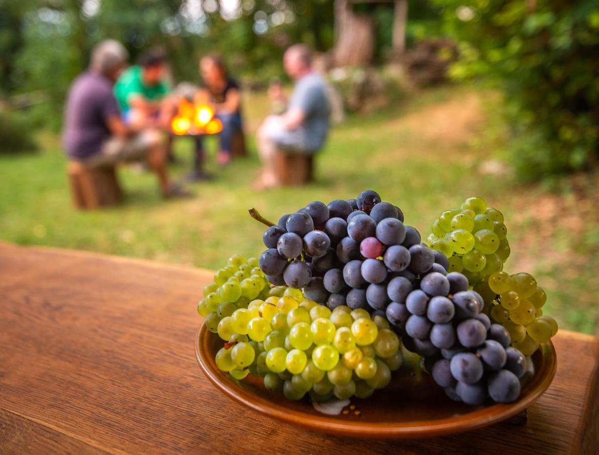 Vineyard Rataj *