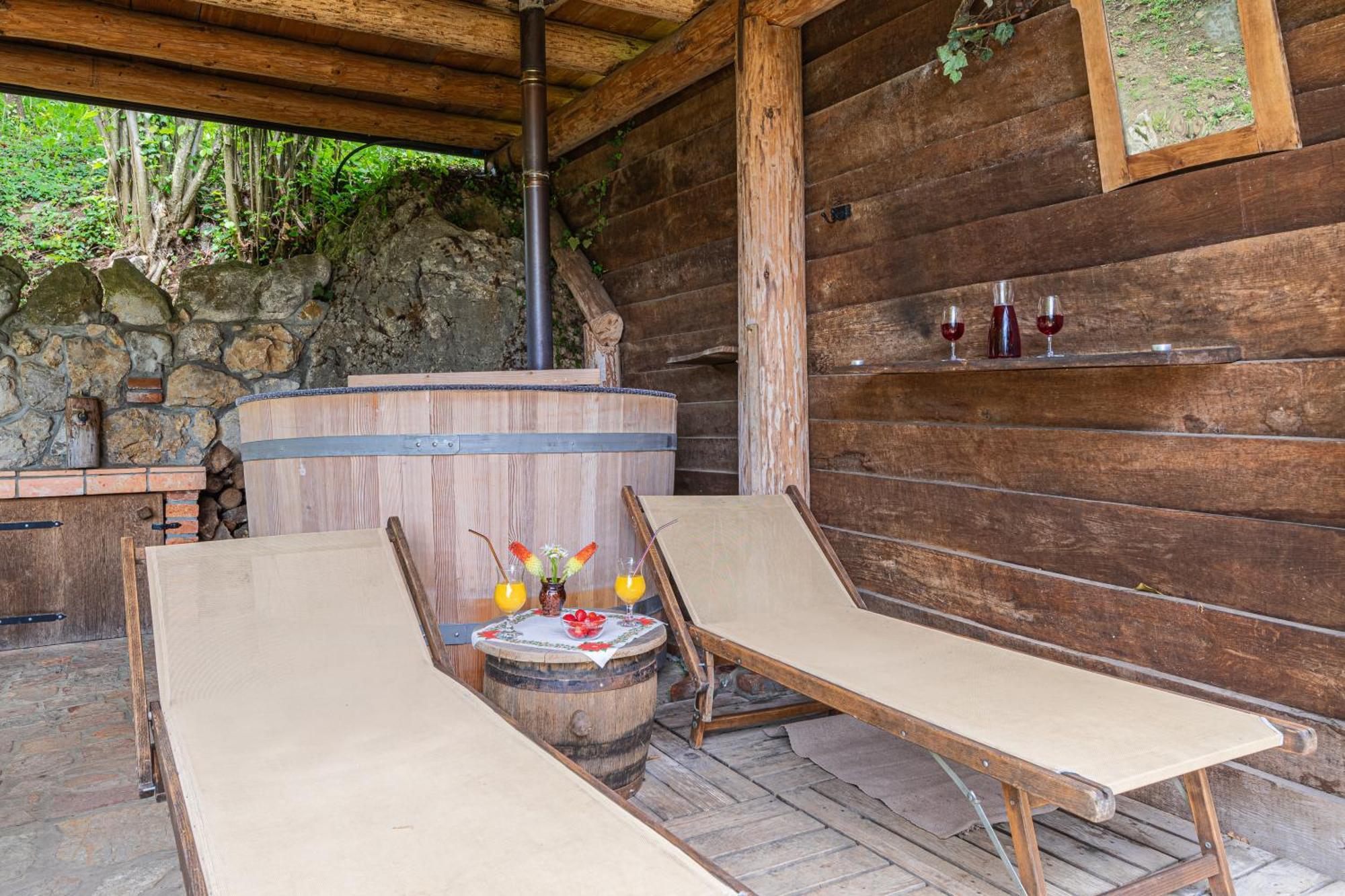 Vineyard Rataj 1 Holiday home Novo Mesto