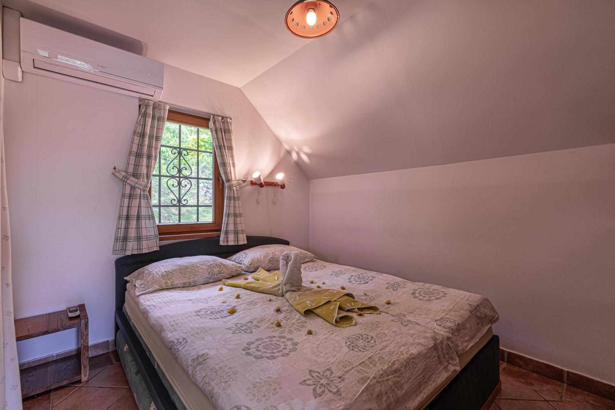 Vineyard Rataj 1 * Novo Mesto
